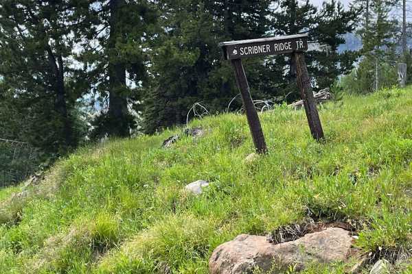 Scribner Ridge