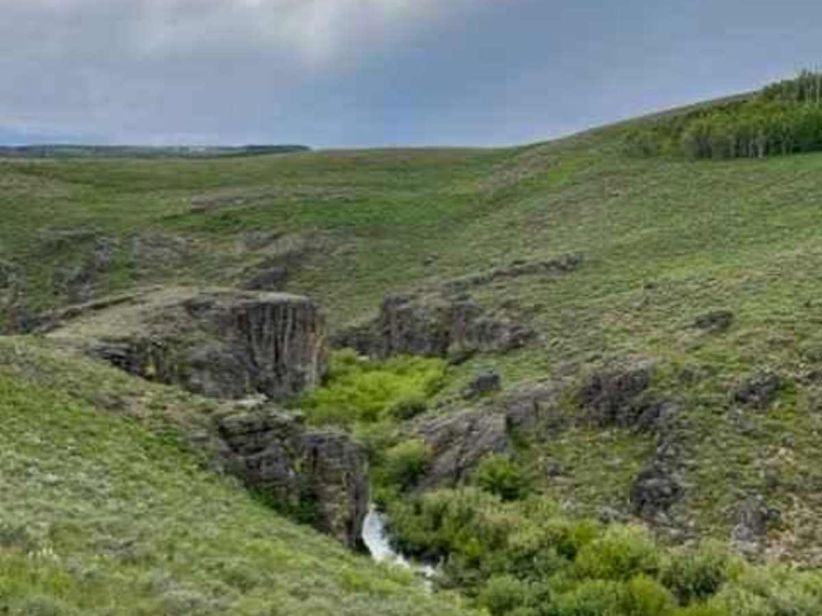 Goose Creek Single Track photo 6