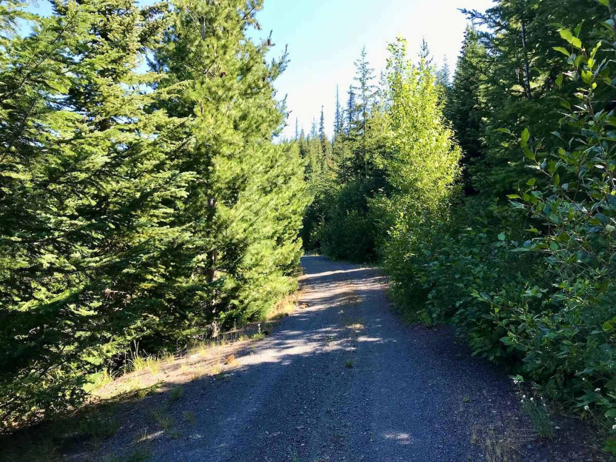 Taneum - NF 3300 trail photo