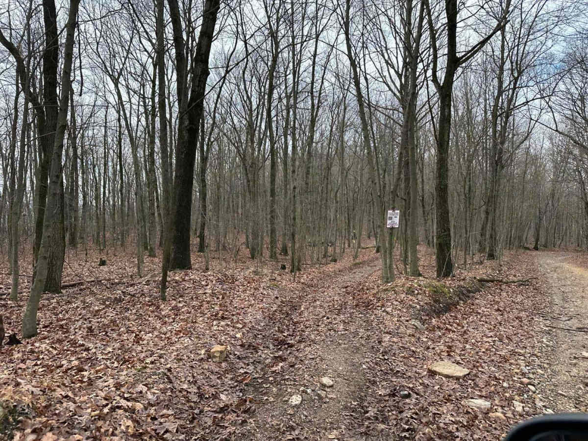 ATV Trail 73 photo 3