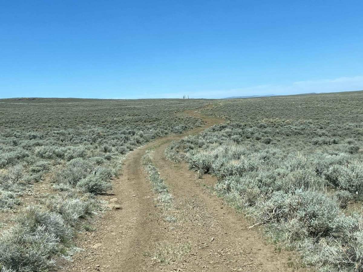 Polliwog-Big Swale - FR 129 photo 6