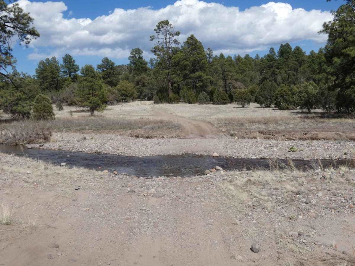 Mimbres River photo 3