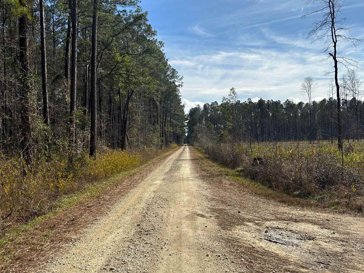 New Hope Road - FSR177 photo 2