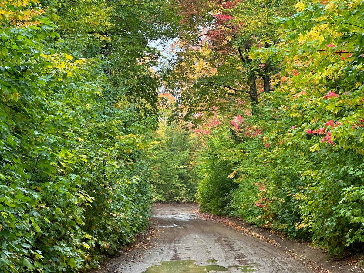Sucker River Road photo 3