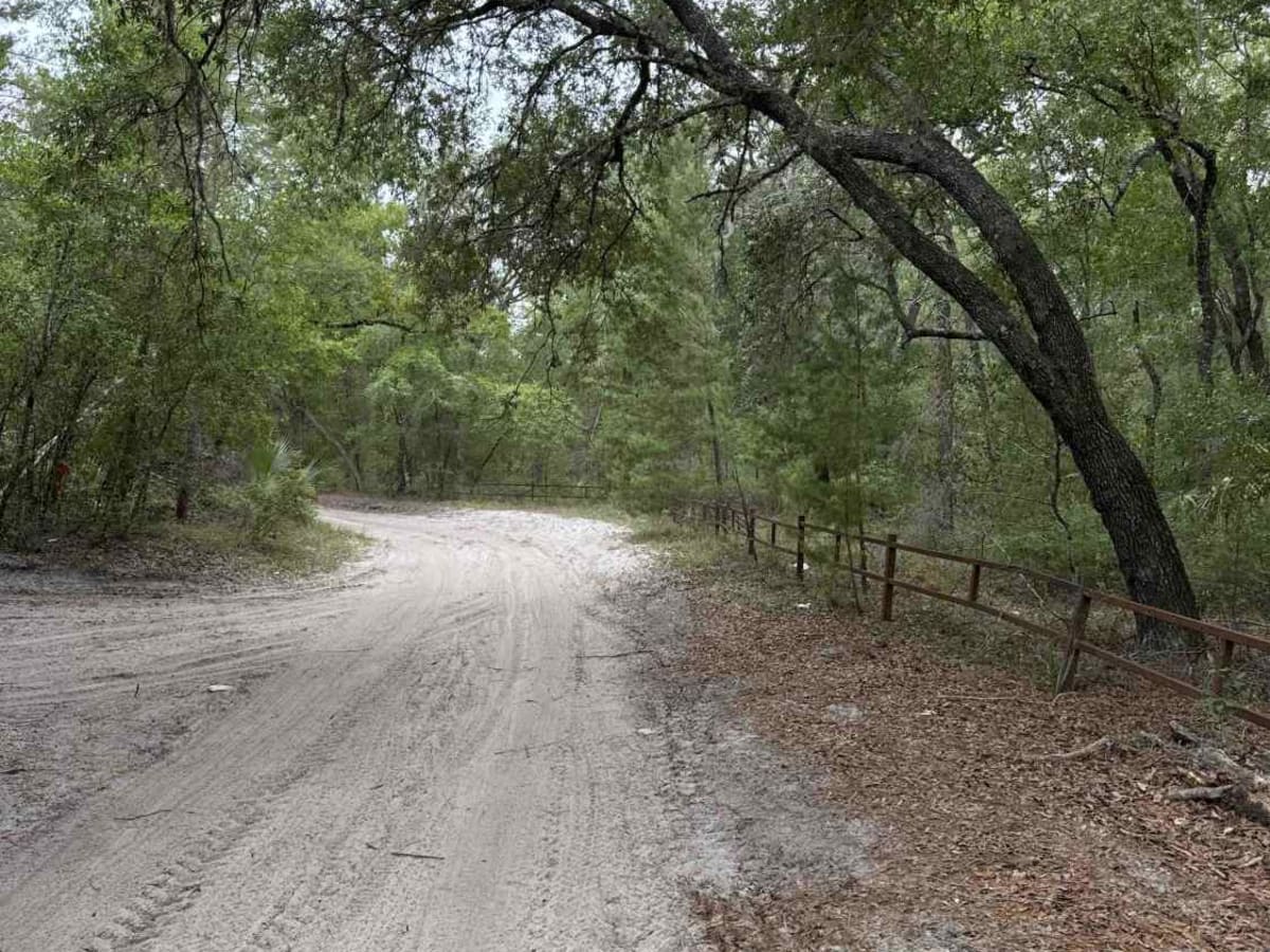 Sweet Springs - ONF 77 photo 4