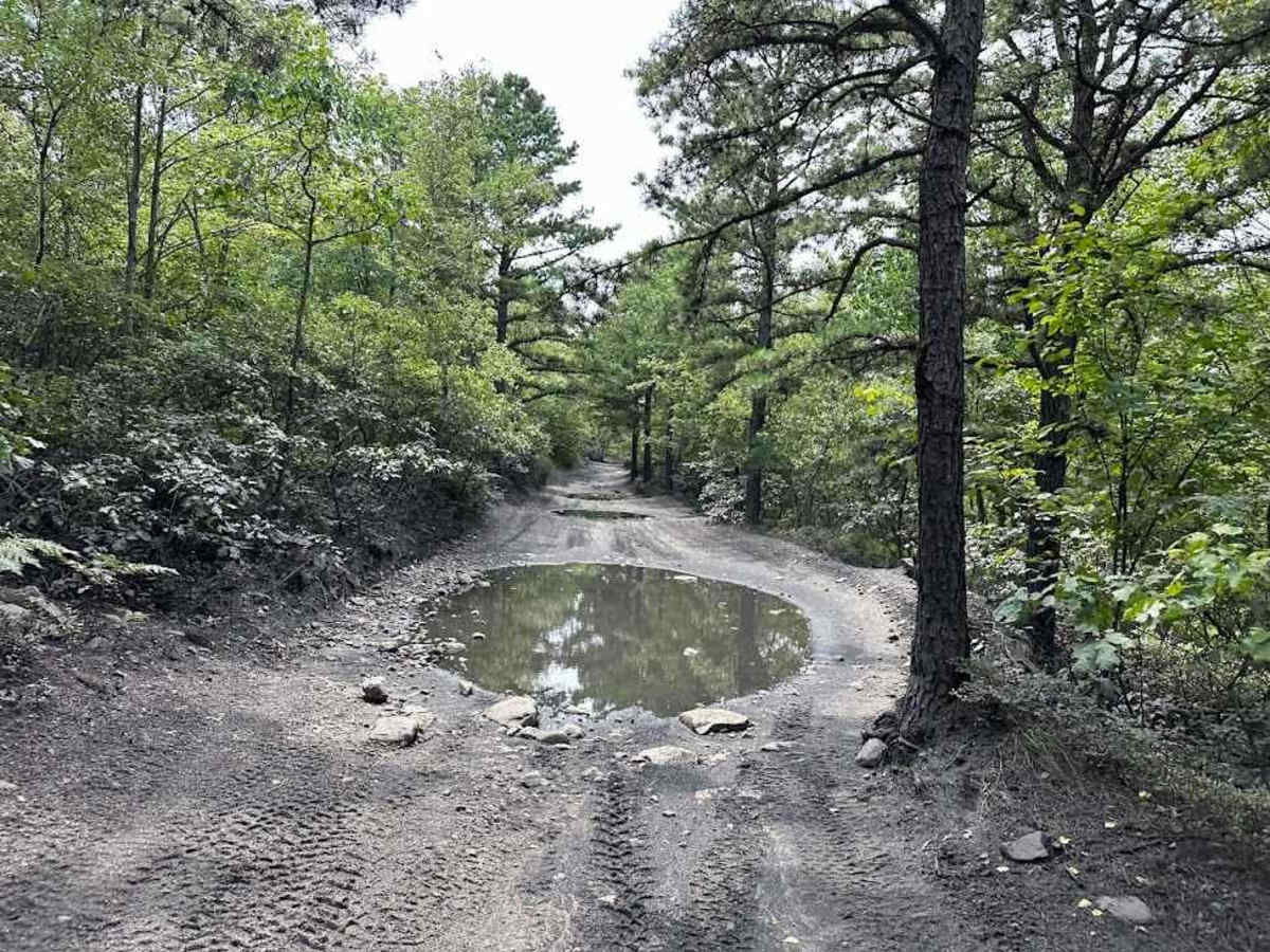 40 Green - A trail photo