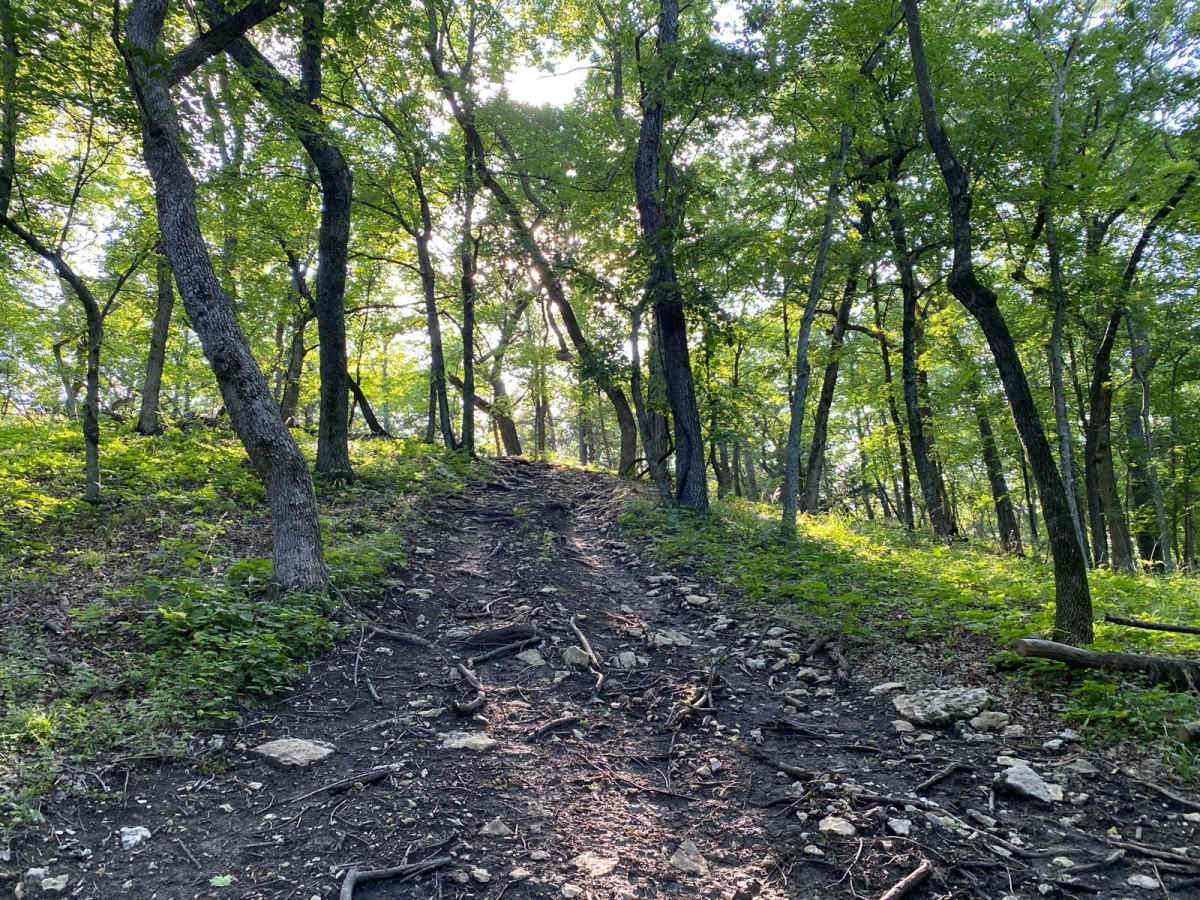 Ted's Hill trail photo