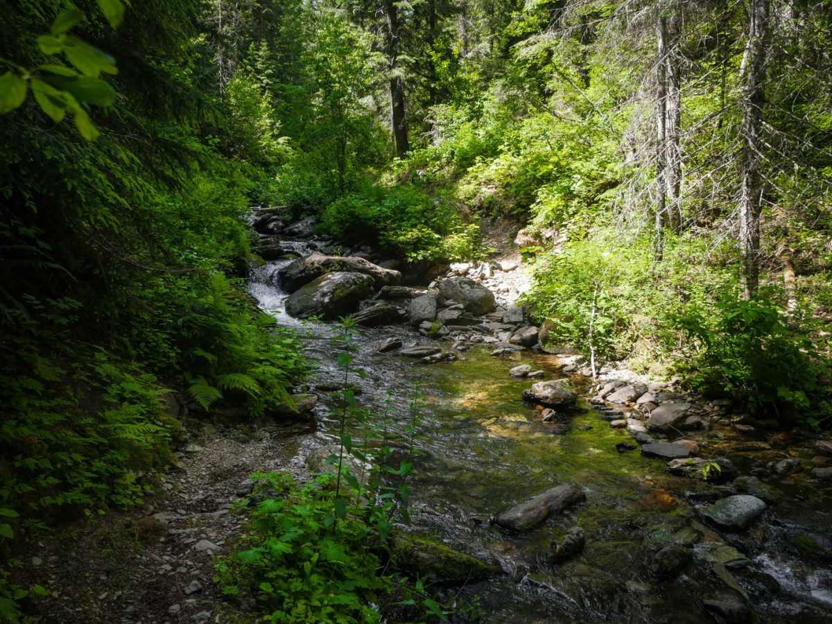 Kyle Creek photo 3