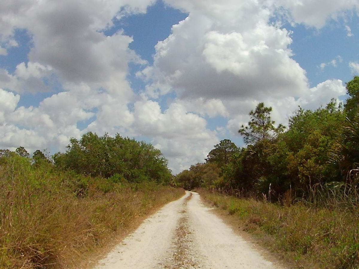 4 Sections Road trail photo