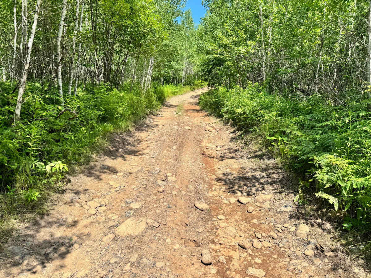 Leaf Lake Loop photo 5