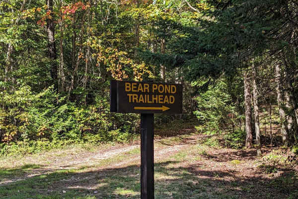 Bear Pond Trail