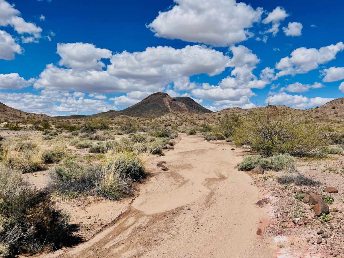 Mineral Mine Trail trail photo