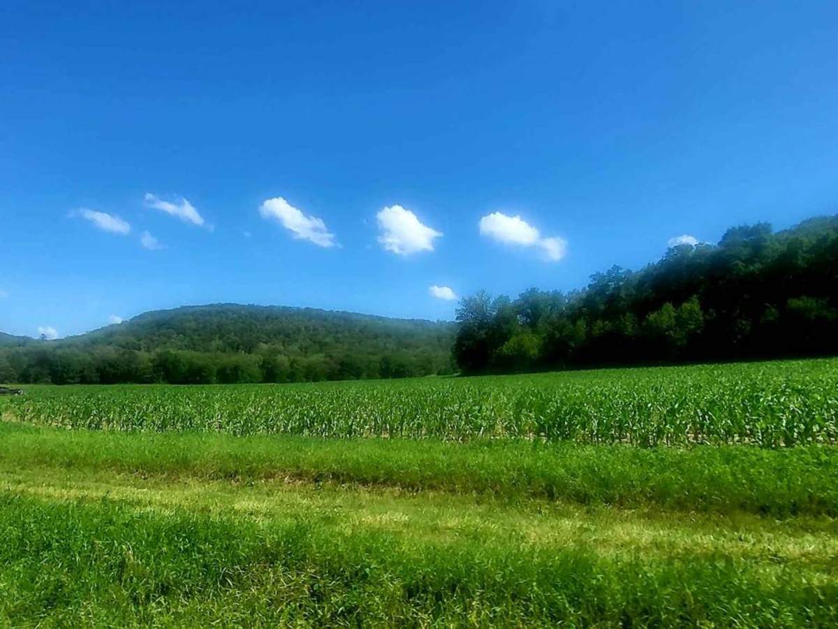Sand Road Driftless Loop photo 2