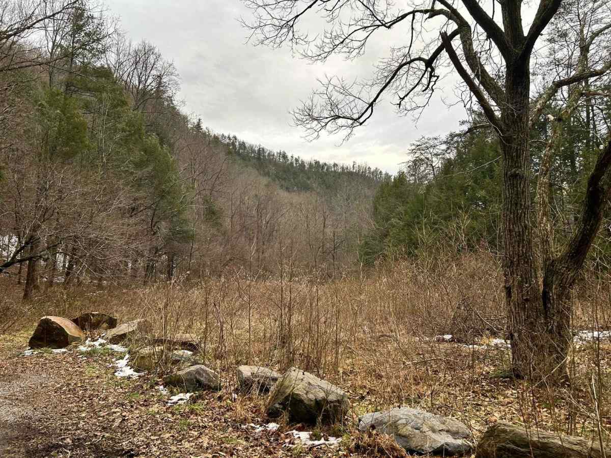 Paint Pond Trail trail photo