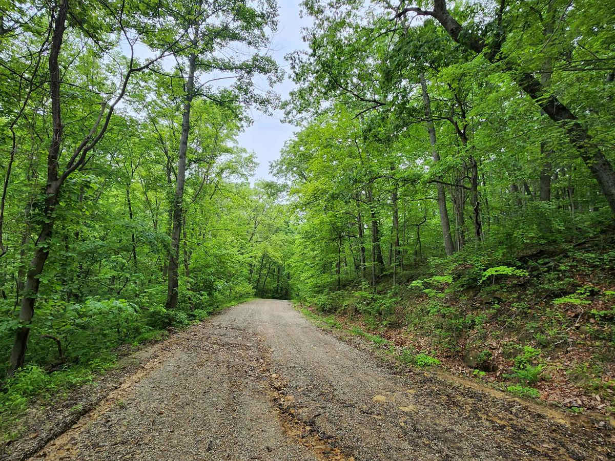 Blacks Run Road trail photo