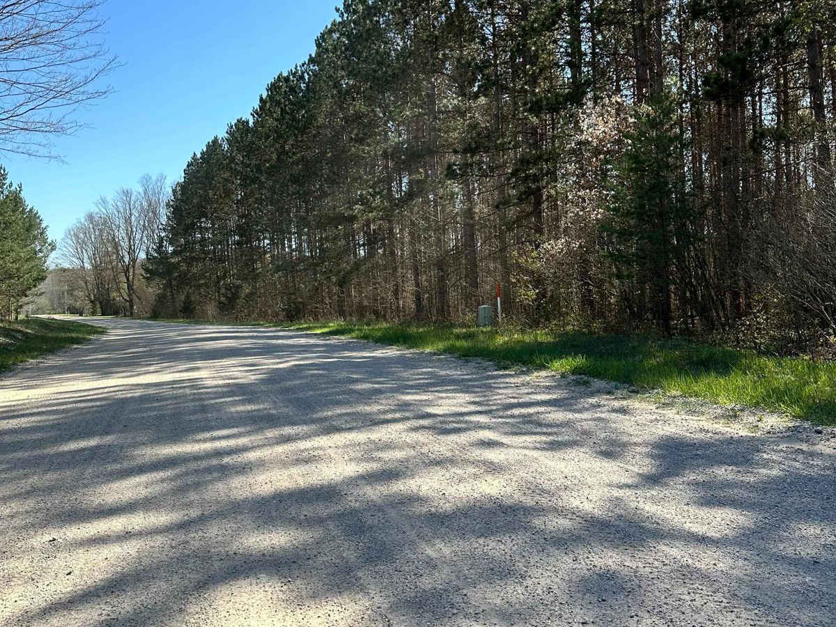 Cadillac Area ORV/OHV Scenic Ride - Part 20 photo 4