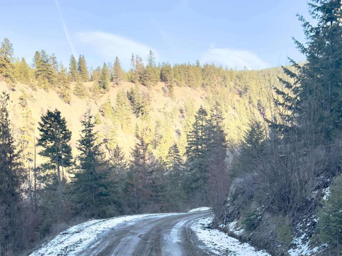 Meandering McCulloch Road photo 5
