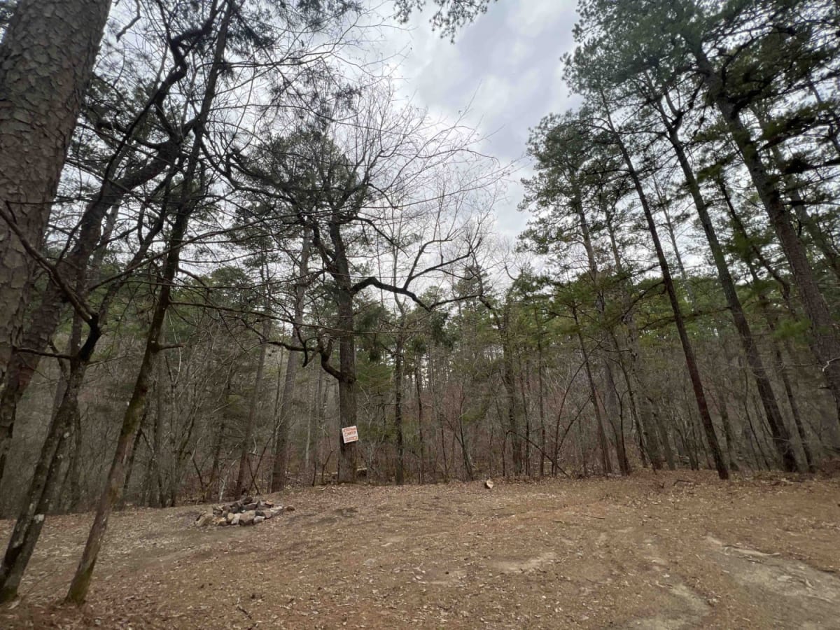 Prater Road 225 photo 4