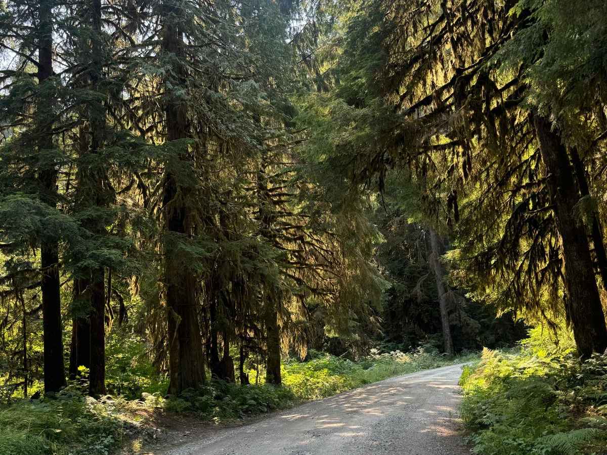 Boardman Lake Trail photo 2