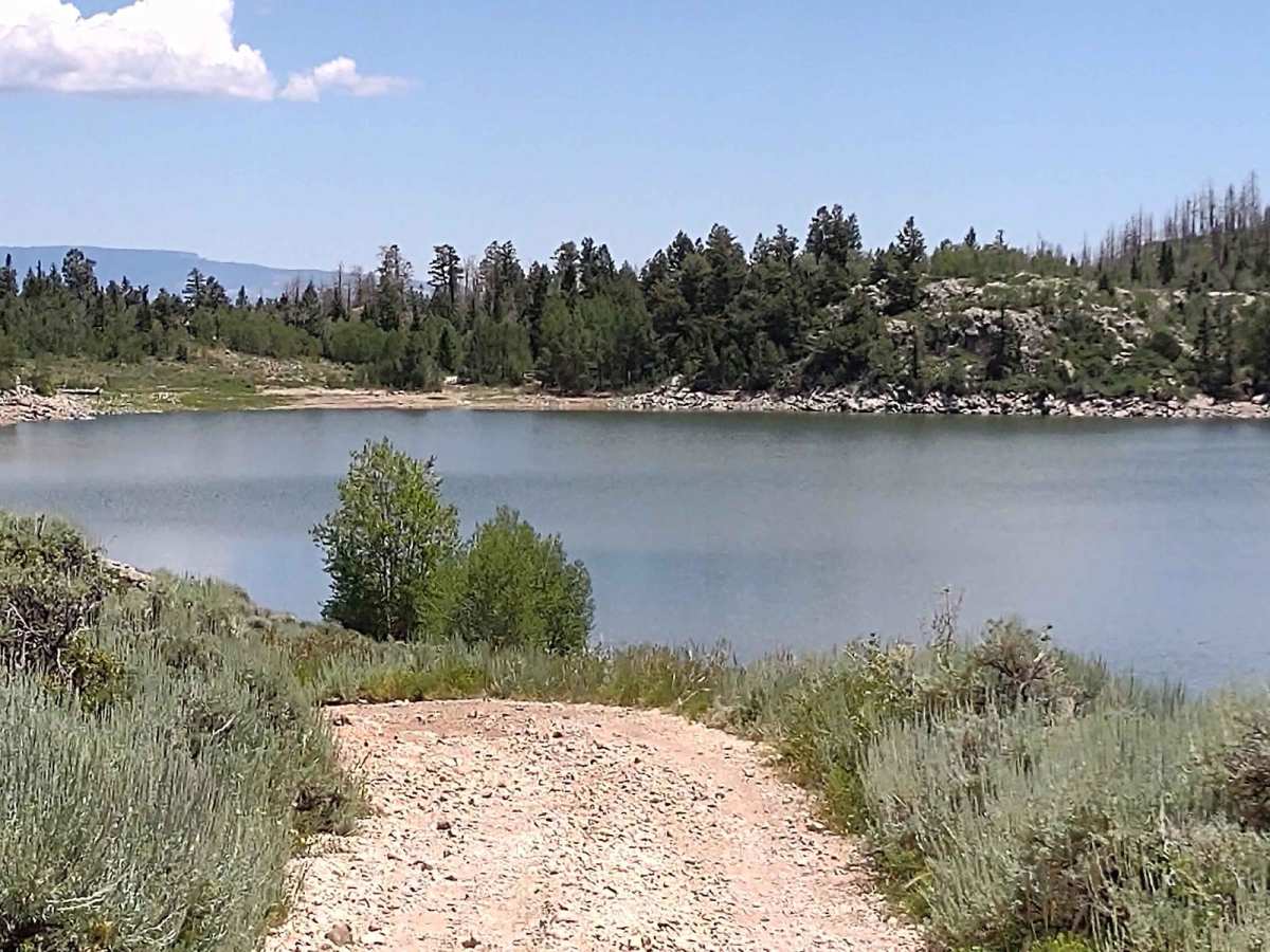 Upper Box Creek Reservoir Dam photo 5