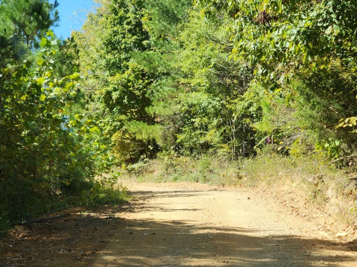 Tyler Ridge Road photo 4