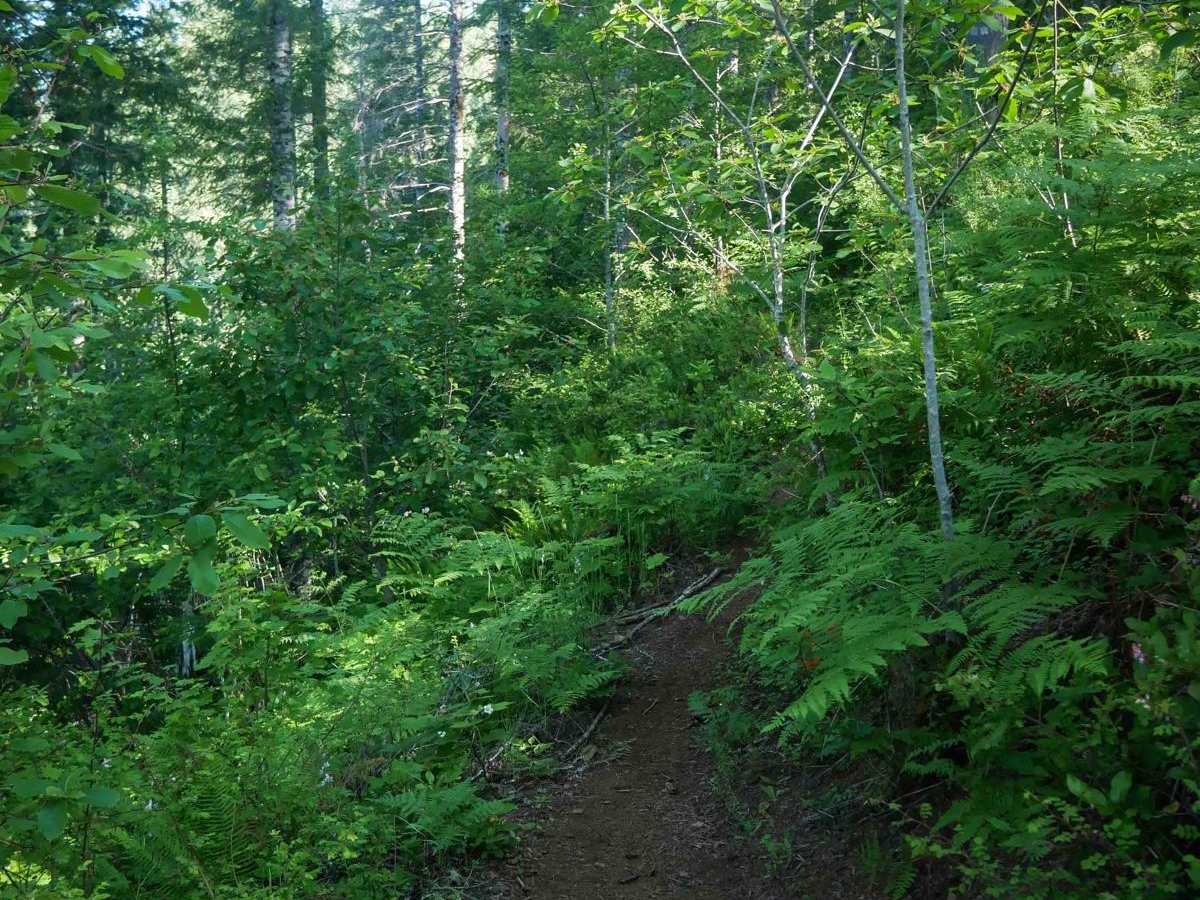 Odin's Ridge #72 photo 2