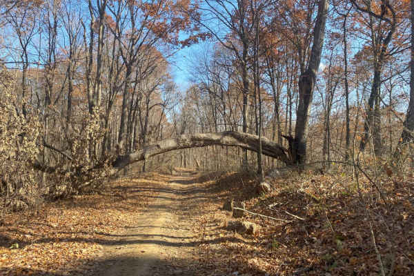 Pleasant Ridge Road - The Tar Hollow Trails