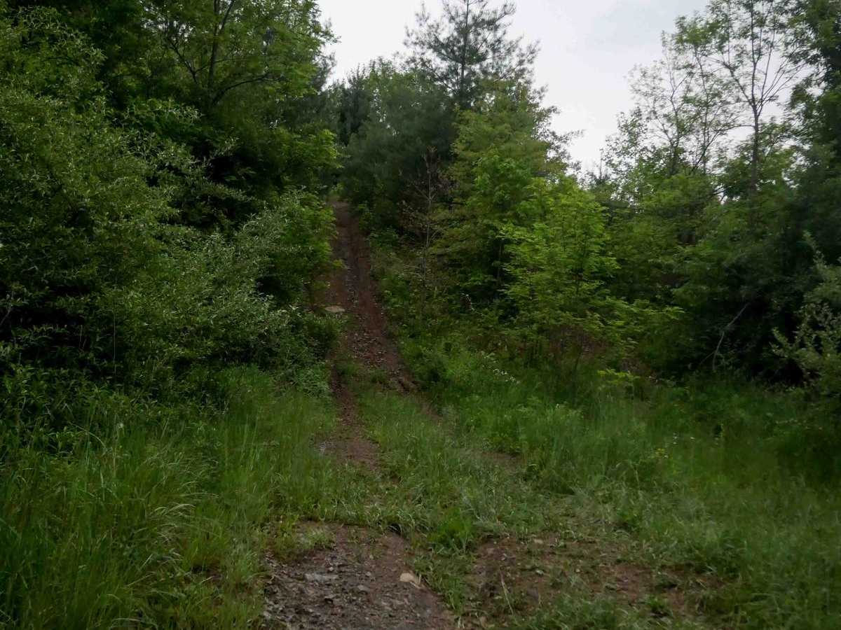 J78 photo 4