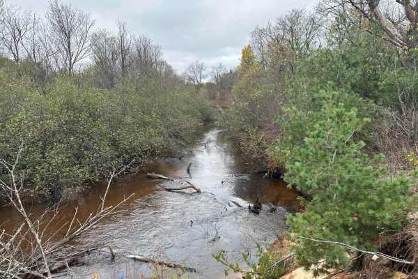 Driggs River Road