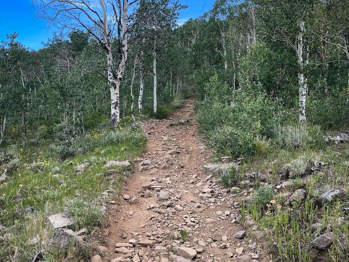 Elkhorn Trail North trail photo