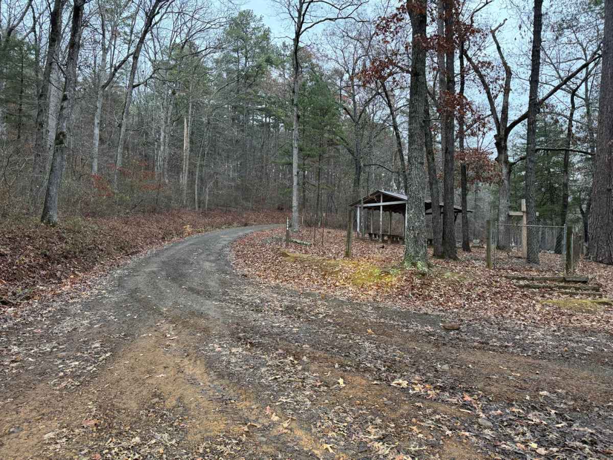 1000A - Brock Cemetery trail photo