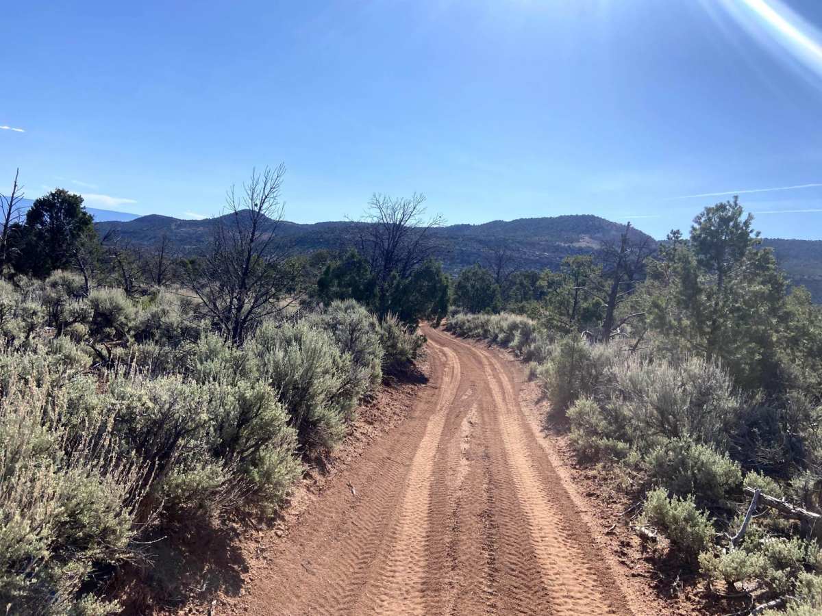 BLM Route 017 photo 4
