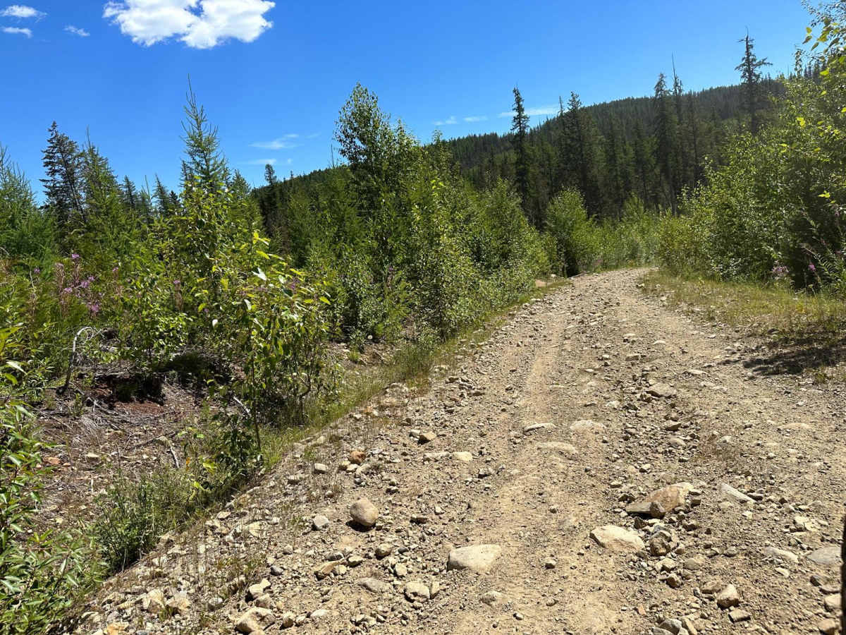 Watershed FSR photo 2