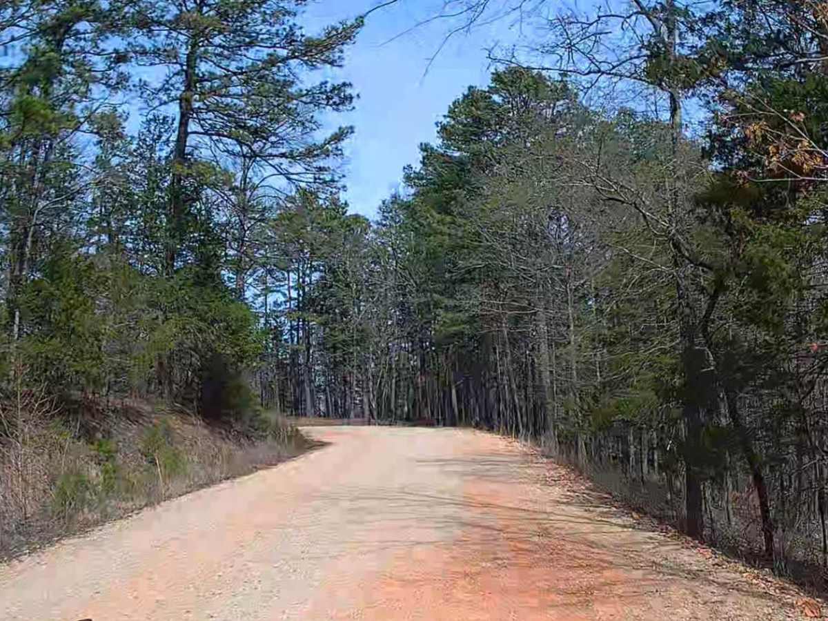 Erbie Campground Road trail photo