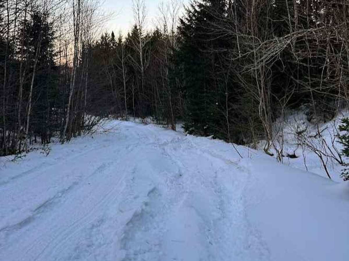 Beeswanger Trail photo 3