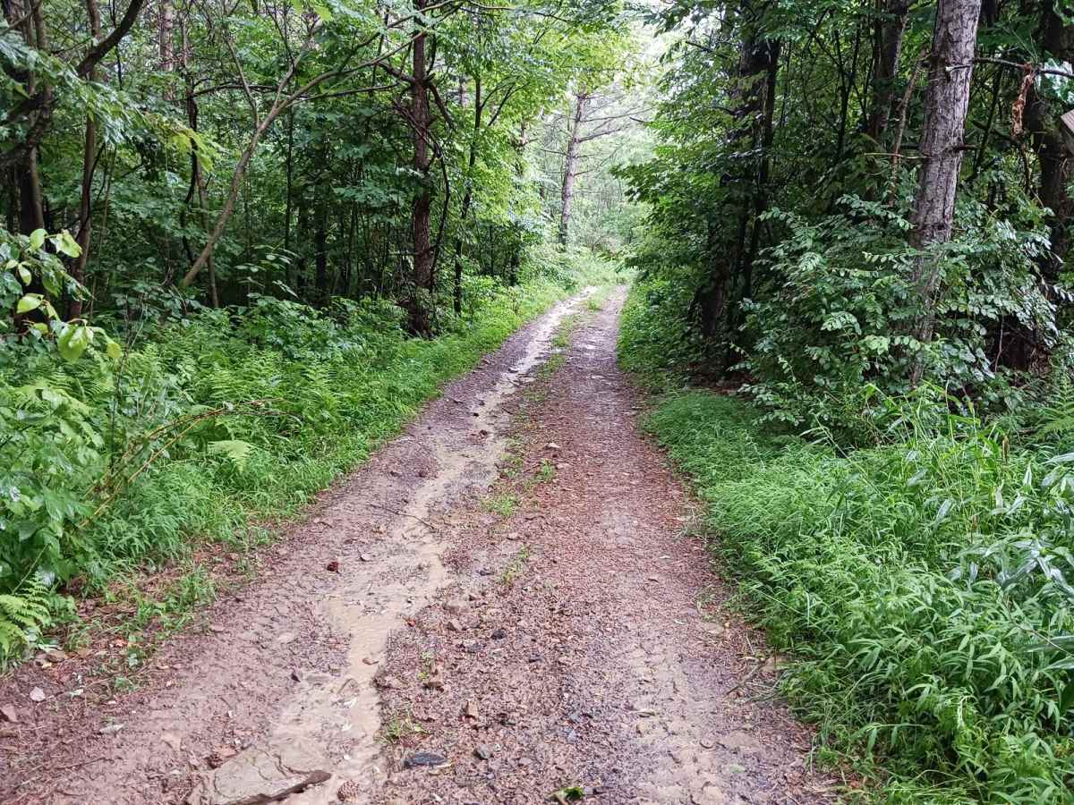 Trail 3C - Rock Run Recreation Area photo 6