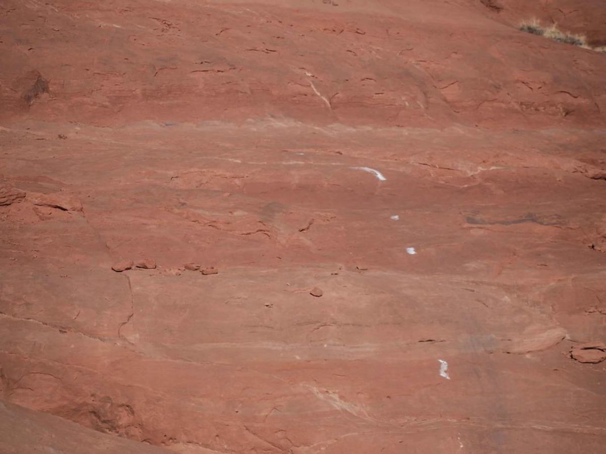 Mary's Trail photo 3