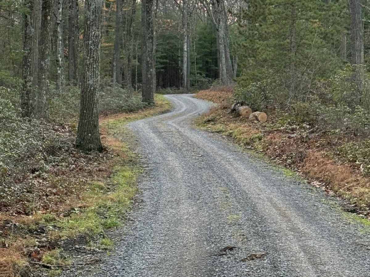 Hicks Road photo 3