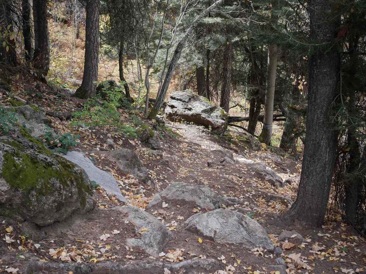 Dark Canyon photo 5