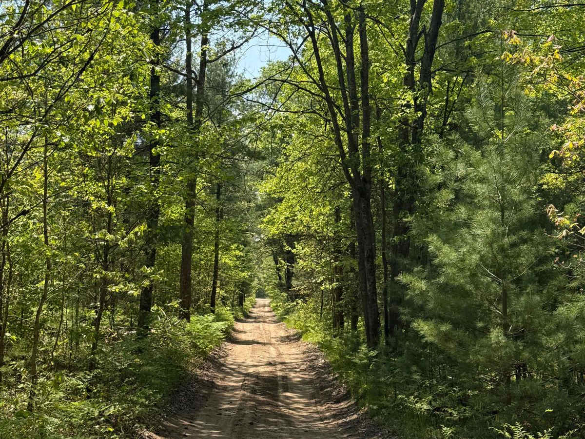 Harrington Trail trail photo