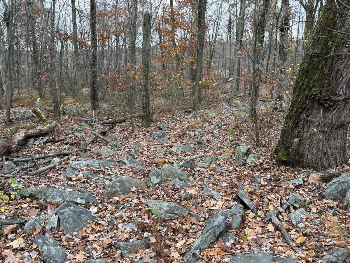30 Blue trail photo