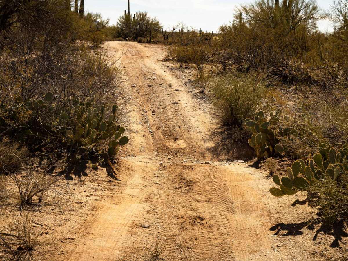 Ditch Trail photo 3