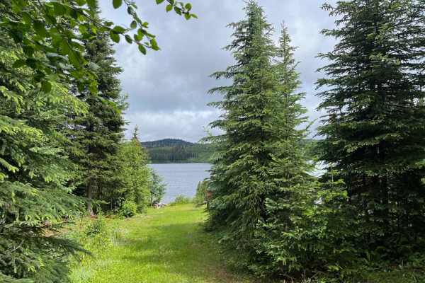 Jamieson Creek Road to Allan Lake