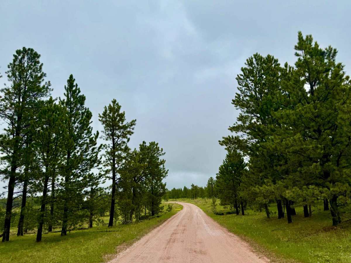 Custer Limestone Road photo 5