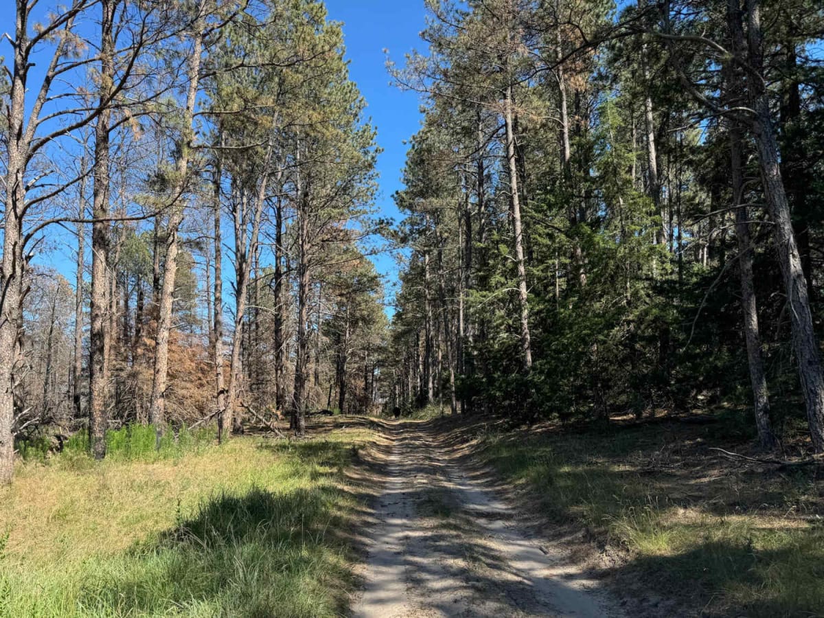 Three Camps (East) trail photo