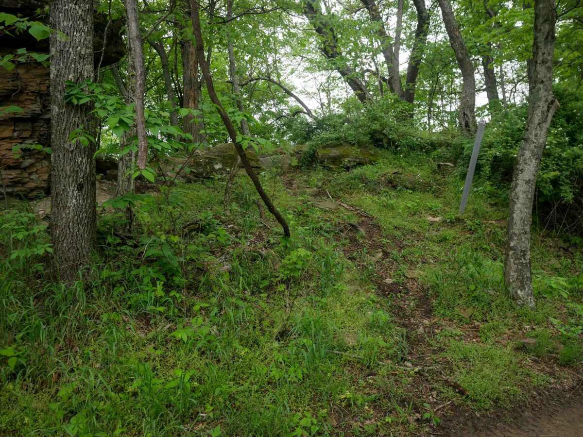 BM 137 photo 3