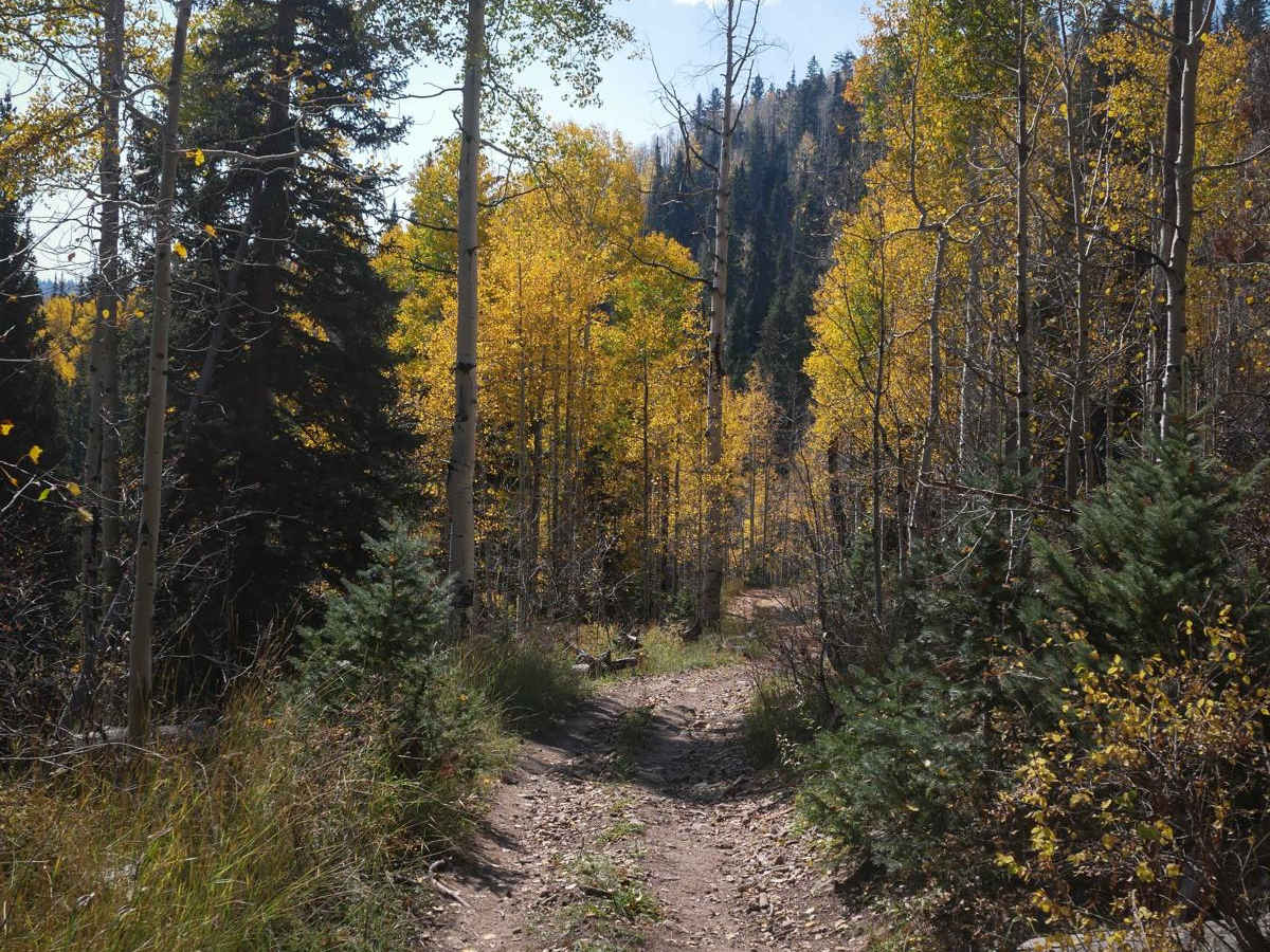 Dry Creek ATV Trail photo 4