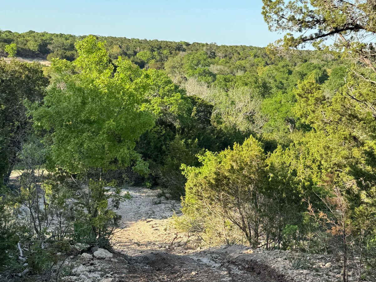 All The Way Down photo 5