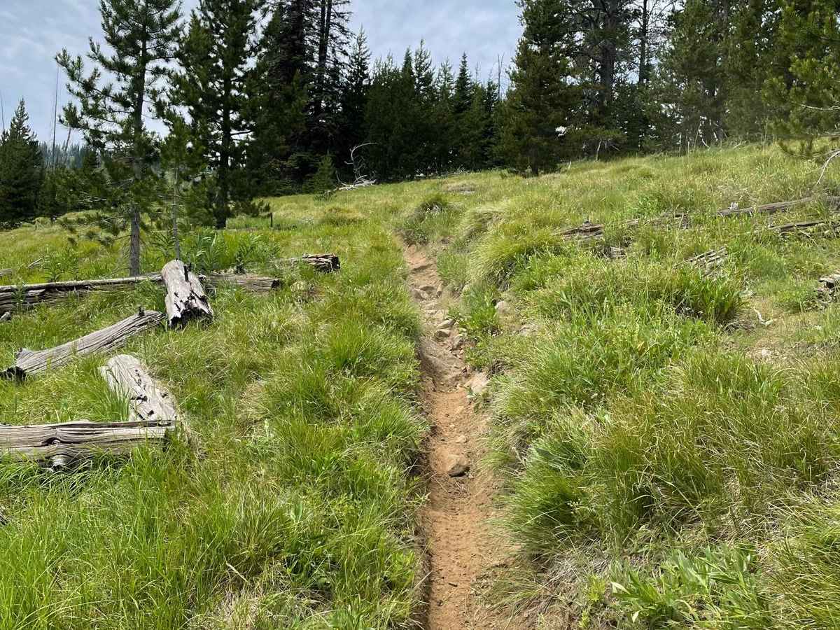 Scribner Ridge photo 6