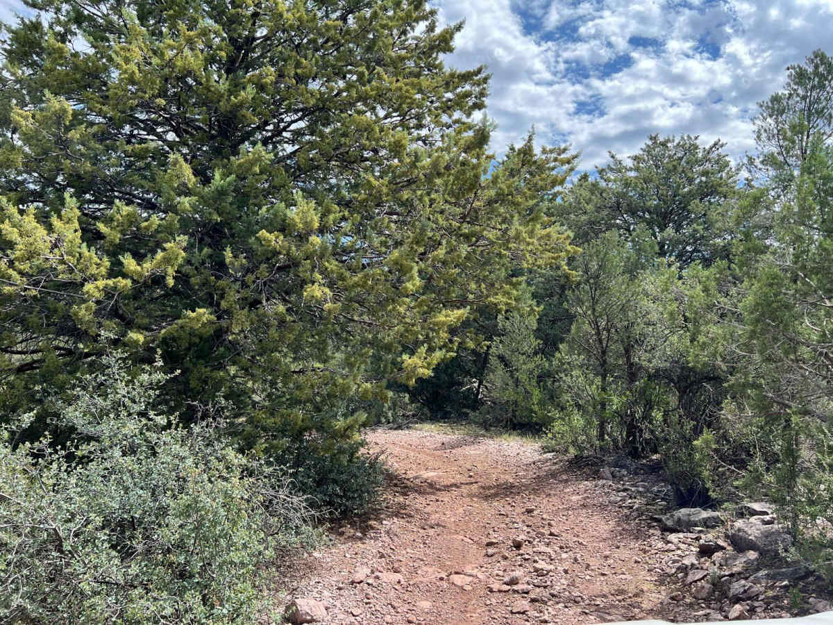 Crackerjack Mesa-  FS 209 photo 5